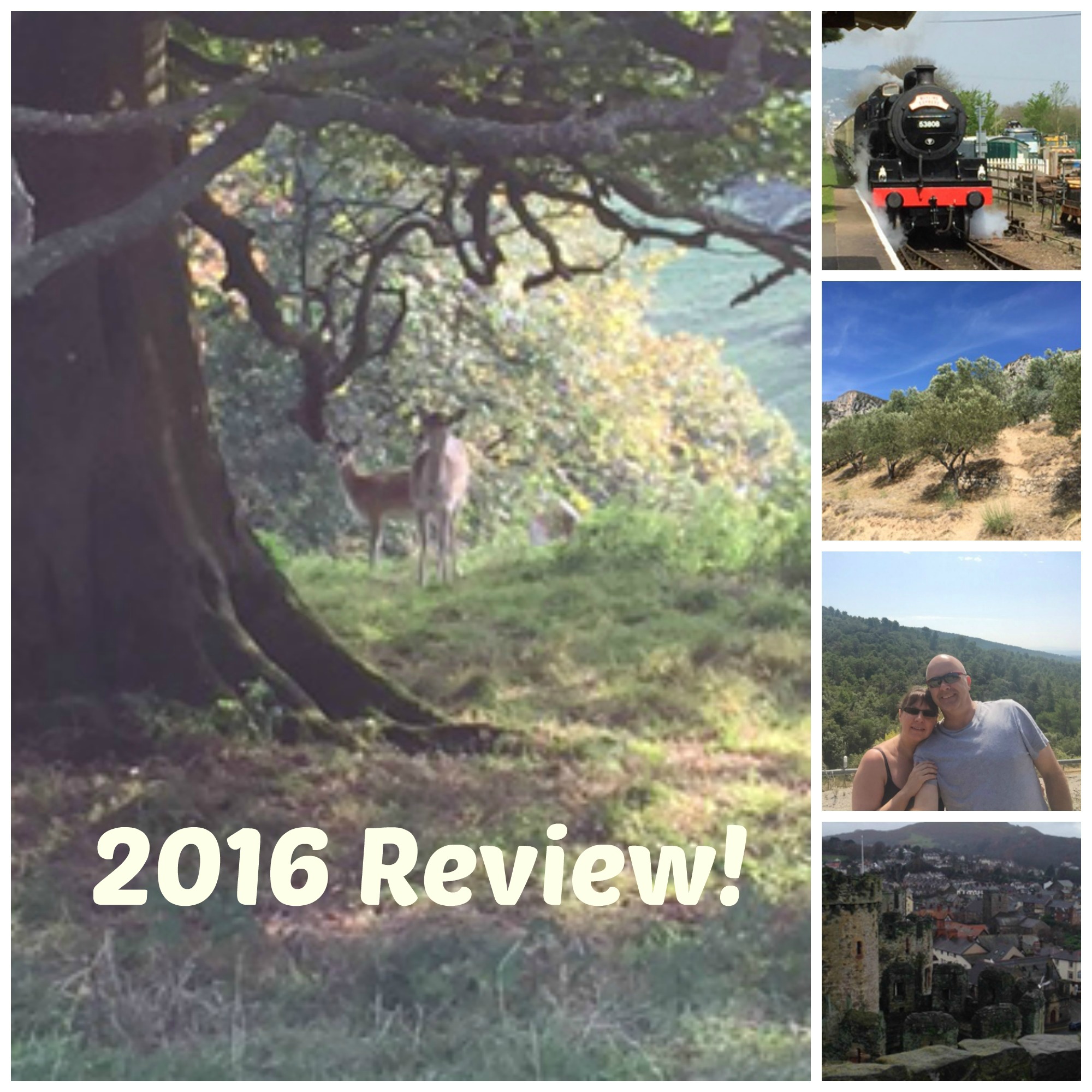 2016 Review